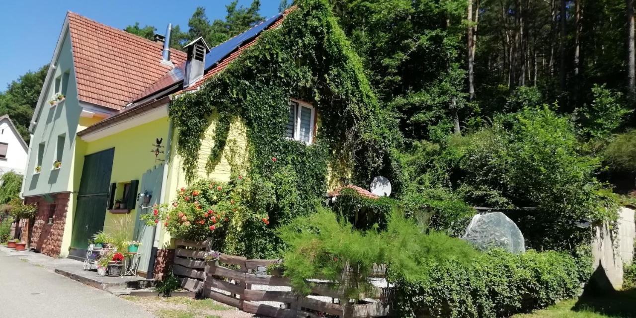 Violeta Villa Dambach Ngoại thất bức ảnh